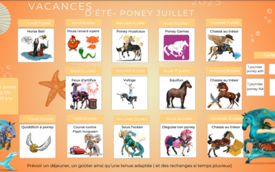 Stage Été 2025