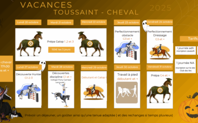 Rentrée 2025- Stages automne
