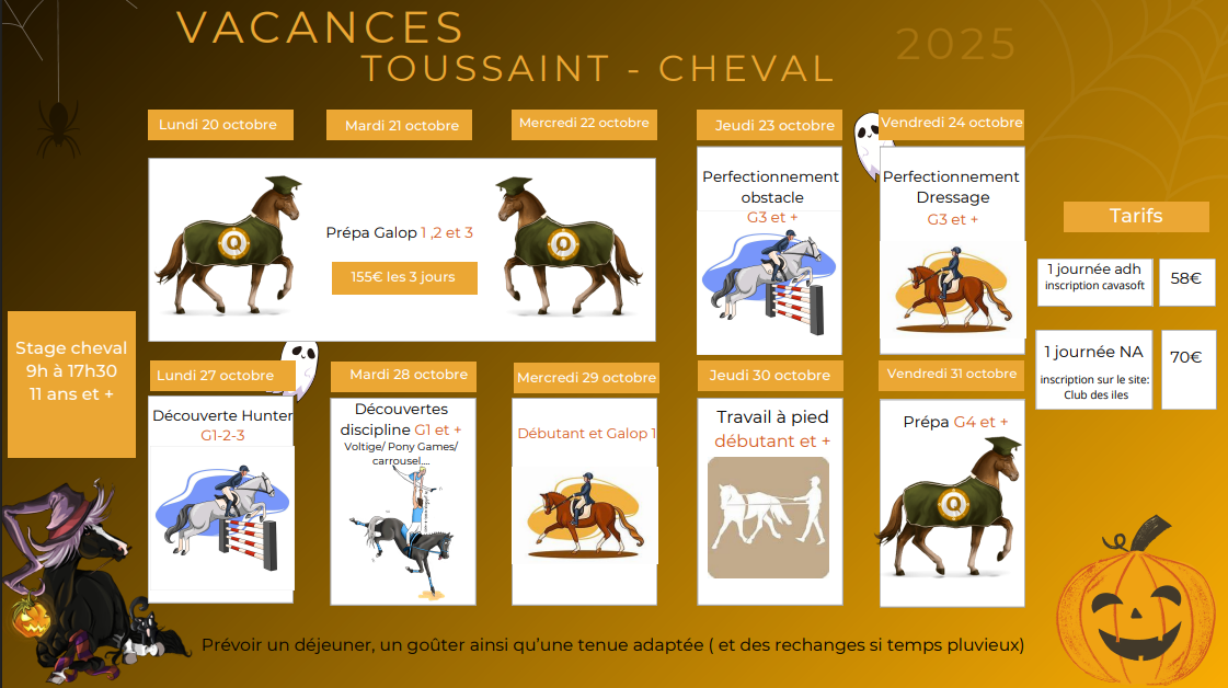 stage chevaux toussaint